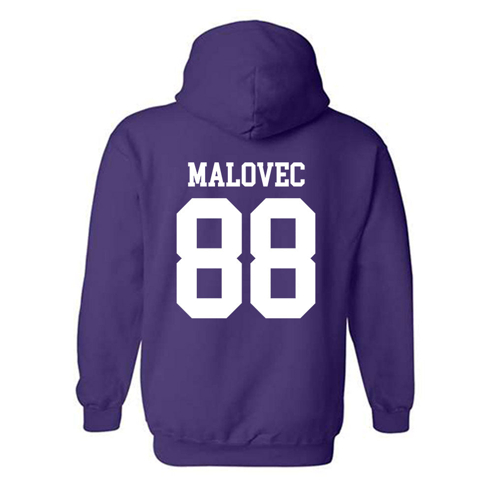 Kansas State - NCAA Men's Basketball : Timotej Malovec - Classic Shersey Hooded Sweatshirt-1
