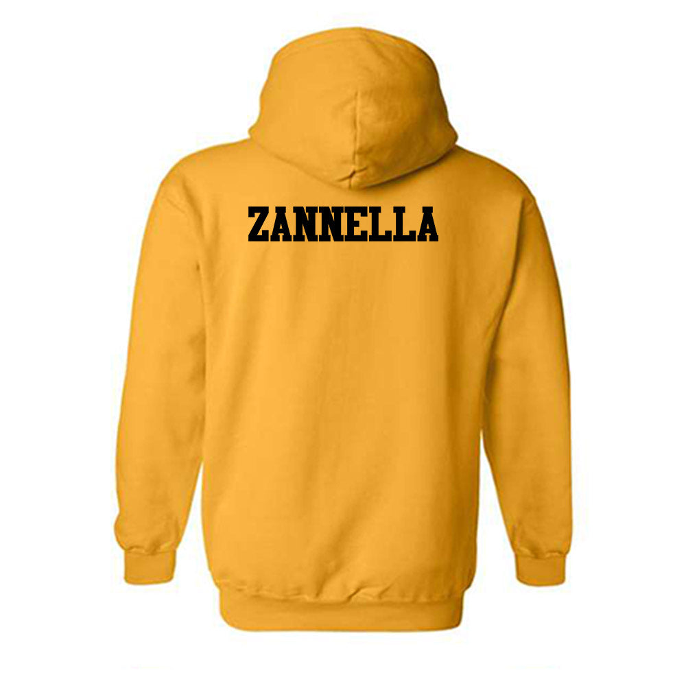 Missouri - NCAA Women's Swimming & Diving : Tommaso Zannella - Generic Shersey Hooded Sweatshirt-1