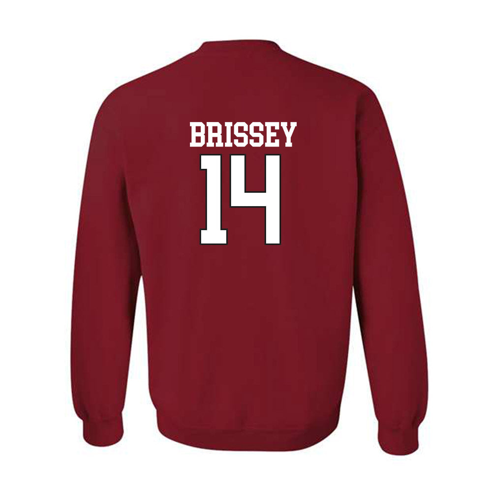 Arkansas - NCAA Baseball : Mark Brissey - Replica Shersey Crewneck Sweatshirt Replica Shersey-1