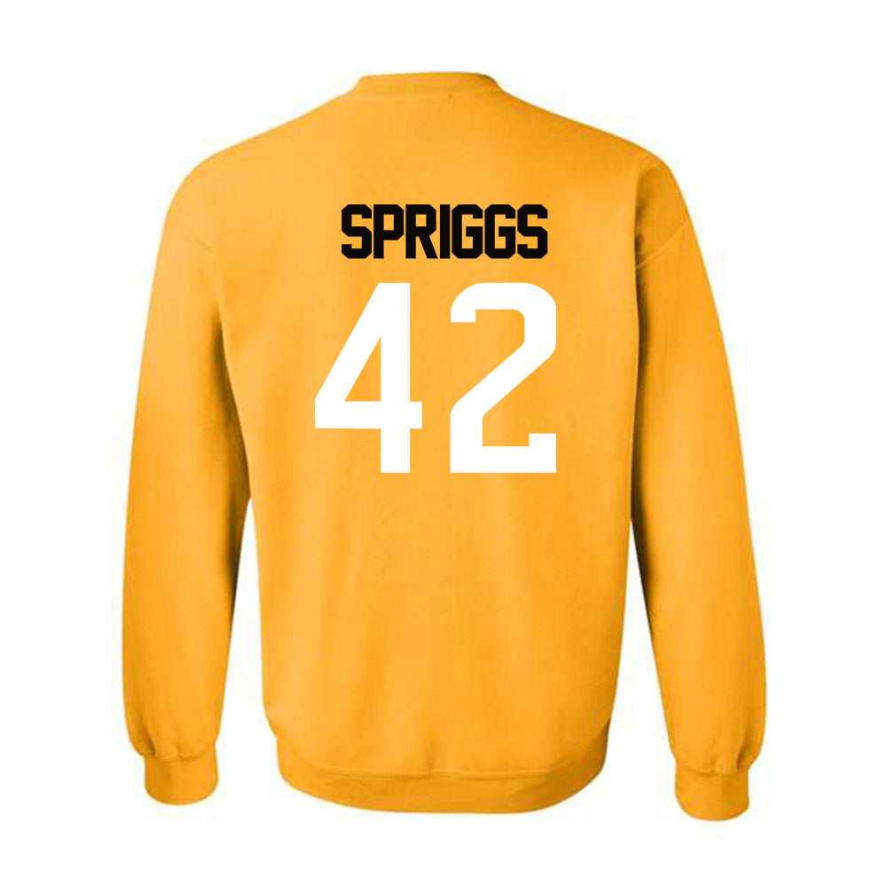 Southern Miss - NCAA Football : Melvin Spriggs - Sports Shersey Crewneck Sweatshirt-1
