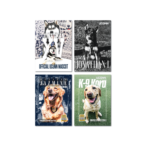 UConn - Dogs of UConn (12-cards)