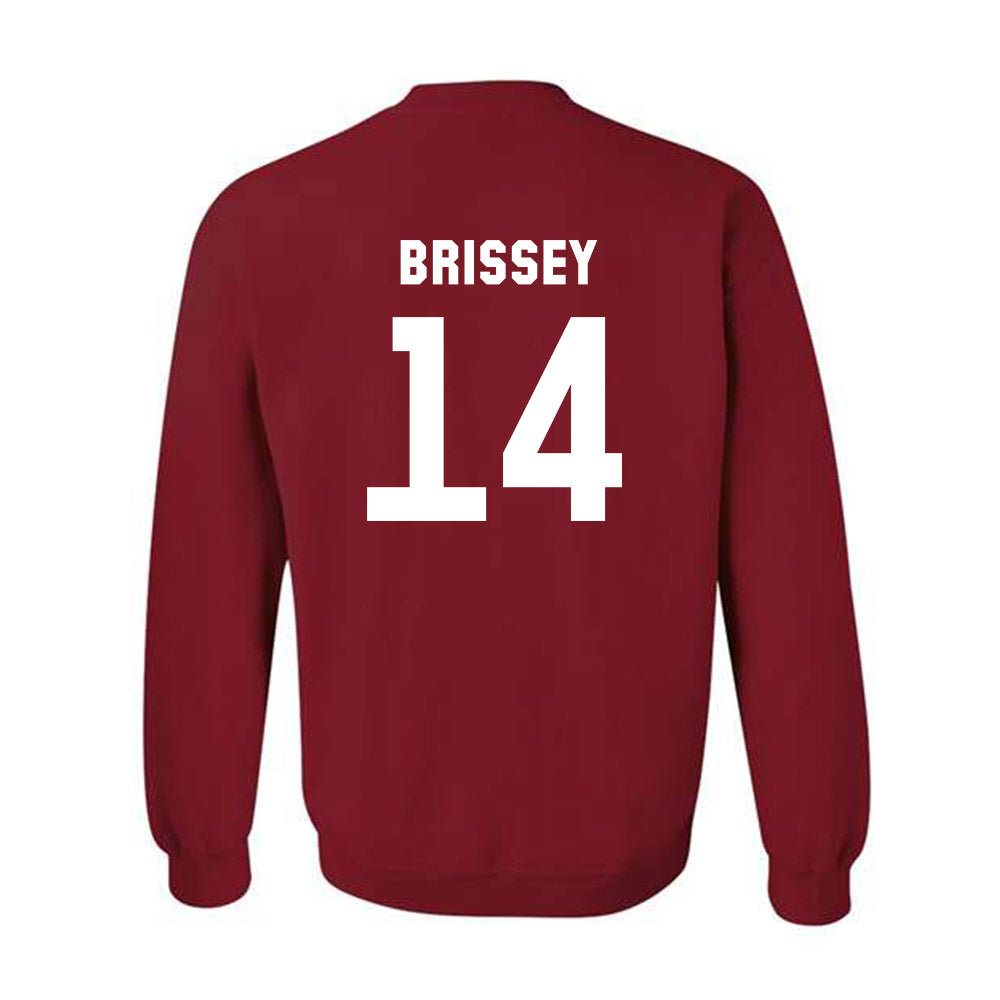 Arkansas - NCAA Baseball : Mark Brissey - Classic Shersey Crewneck Sweatshirt-1