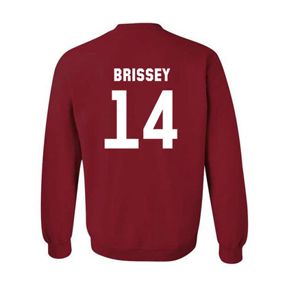 Arkansas - NCAA Baseball : Mark Brissey - Classic Shersey Crewneck Sweatshirt-1