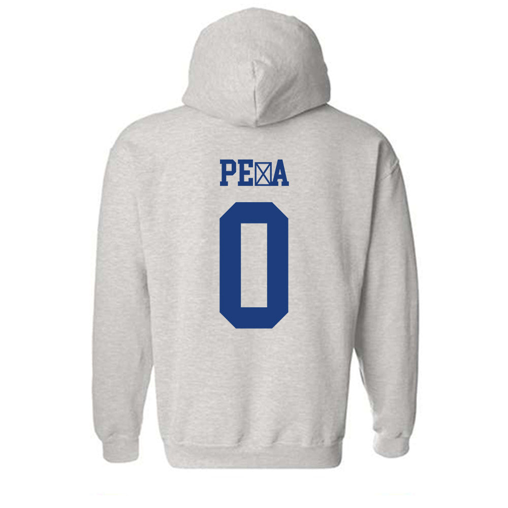 Florida - NCAA Women's Soccer : Paloma Pe�a - Classic Shersey Hooded Sweatshirt-1