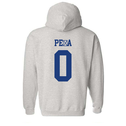 Florida - NCAA Women's Soccer : Paloma Pe�a - Classic Shersey Hooded Sweatshirt-1