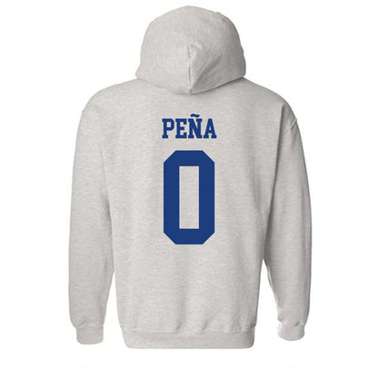 Florida - NCAA Women's Soccer : Paloma Peña - Classic Shersey Hooded Sweatshirt-1