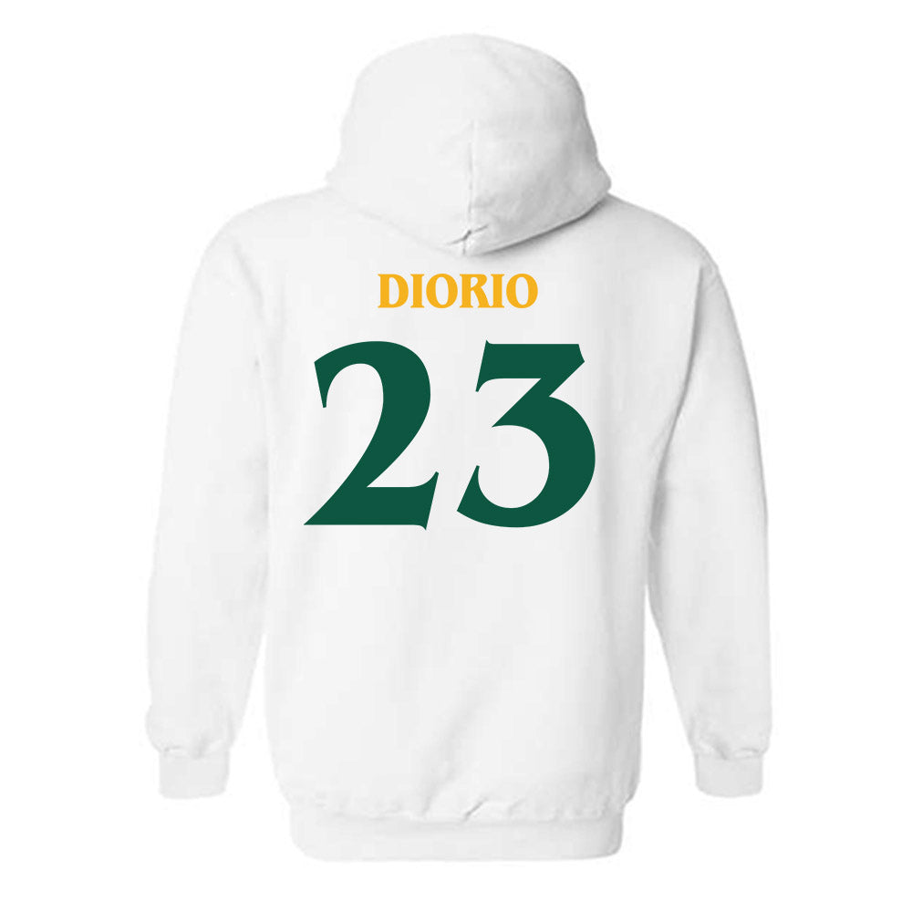 William & Mary - NCAA Men's Soccer : Michael DiOrio - Replica Shersey Hooded Sweatshirt-1