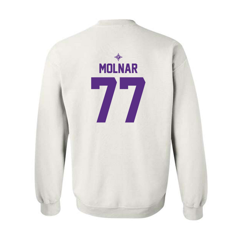 Furman - NCAA Men's Basketball : Davis Molnar - Sports Shersey Crewneck Sweatshirt-1