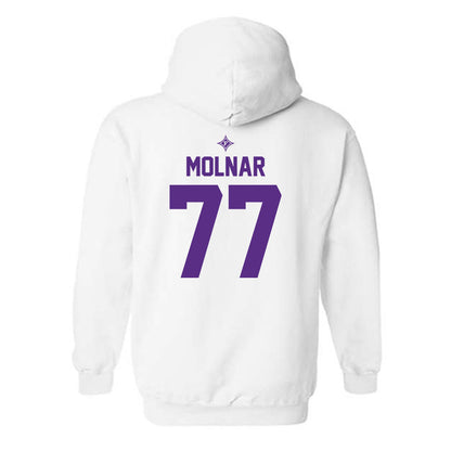 Furman - NCAA Men's Basketball : Davis Molnar - Sports Shersey Hooded Sweatshirt-1