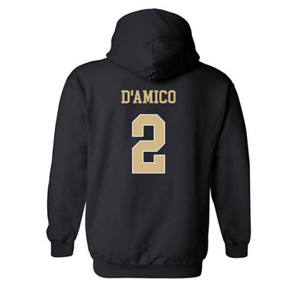 Wake Forest - NCAA Baseball : Logan D'Amico - Classic Shersey Hooded Sweatshirt-1