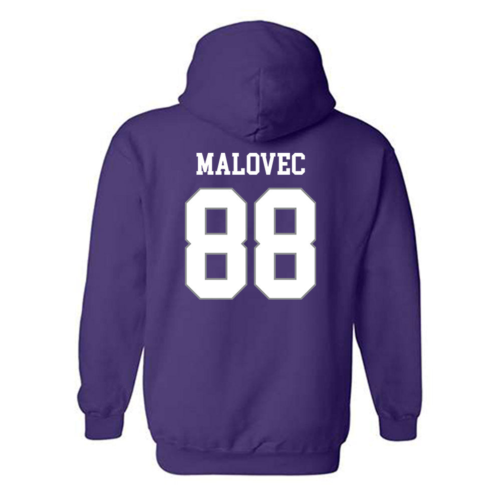 Kansas State - NCAA Men's Basketball : Timotej Malovec - Classic Shersey Hooded Sweatshirt-1