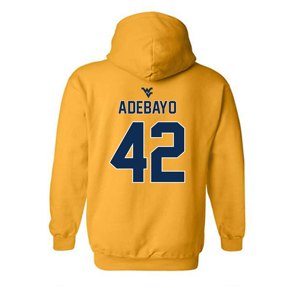 West Virginia - NCAA Football : Alex Adebayo - Classic Shersey Hooded Sweatshirt-1
