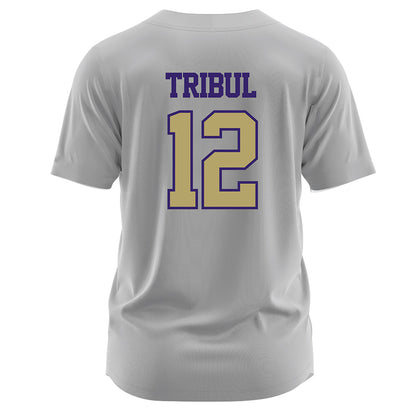 JMU - NCAA Softball : Mia Tribul - Grey Jersey-1