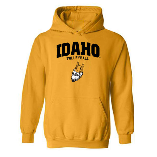 Idaho - NCAA Women's Volleyball : Keira Kleidon - Hooded Sweatshirt-0