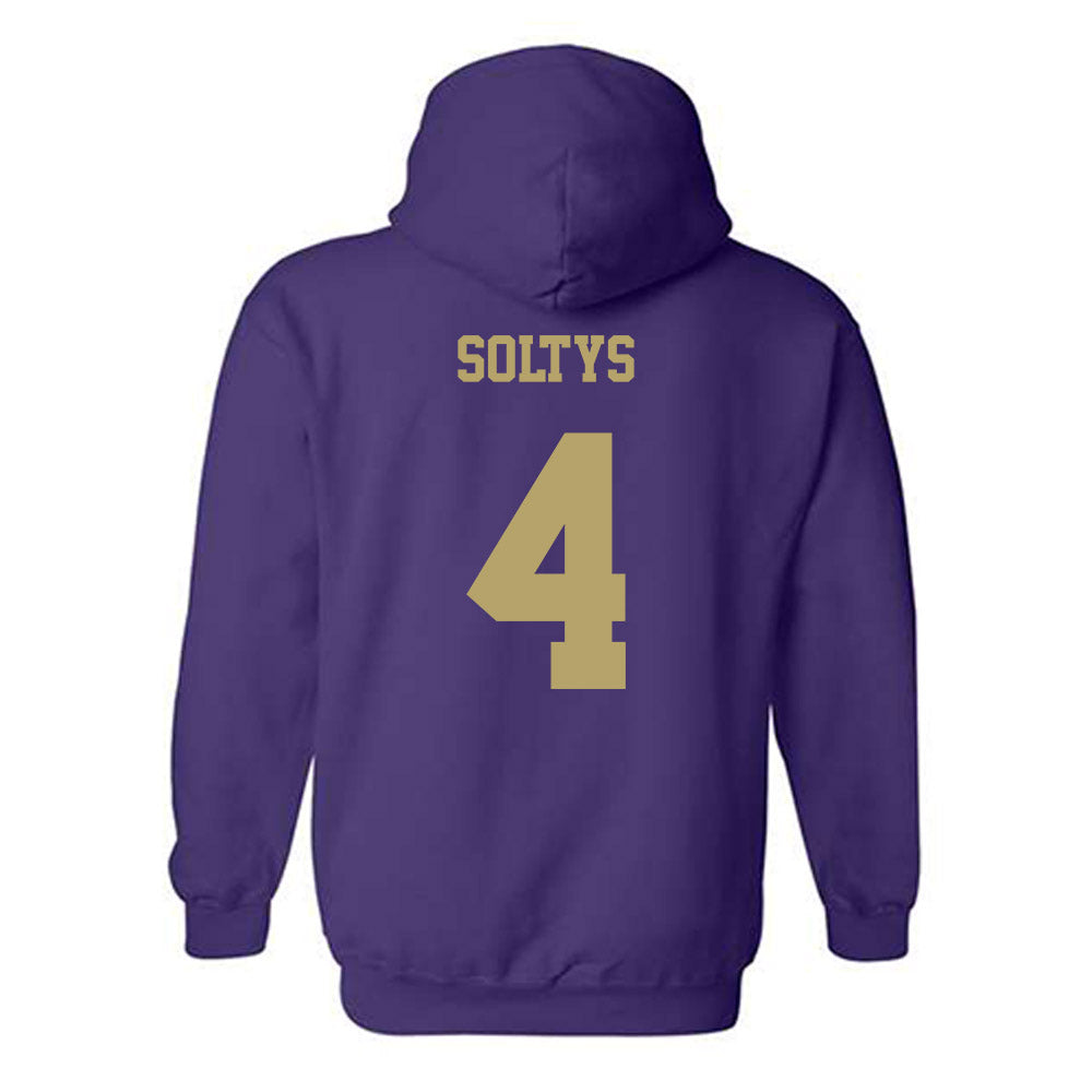 JMU - NCAA Women's Basketball : Delilah Soltys - Fashion Shersey Hooded Sweatshirt-1
