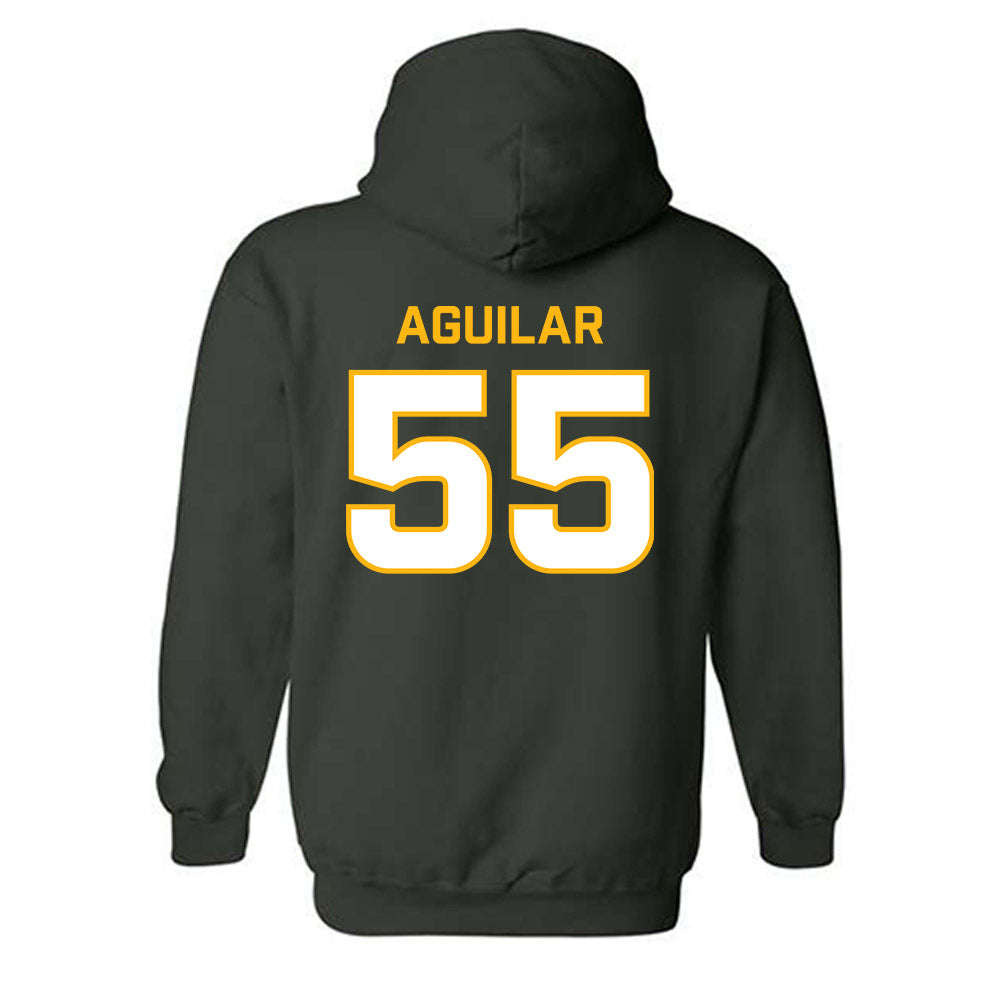 UAB - NCAA Softball : Alyssa Aguilar - Classic Fashion Shersey Hooded Sweatshirt-1