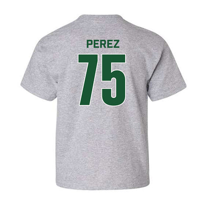 UAB - NCAA Football : Calib Perez - Classic Fashion Shersey Youth T-Shirt-1