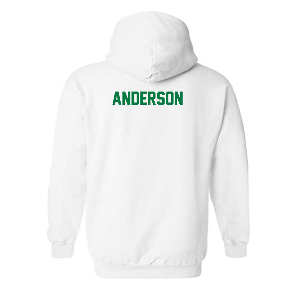 North Texas - NCAA Women's Swimming & Diving : Vivian Anderson - Classic Shersey Hooded Sweatshirt-1