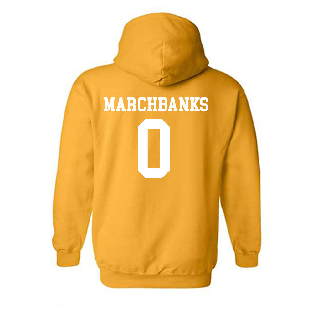 Towson - NCAA Women's Basketball : Masyn Marchbanks - Classic Shersey Hooded Sweatshirt-1