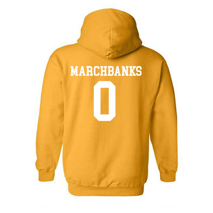 Towson - NCAA Women's Basketball : Masyn Marchbanks - Classic Shersey Hooded Sweatshirt-1
