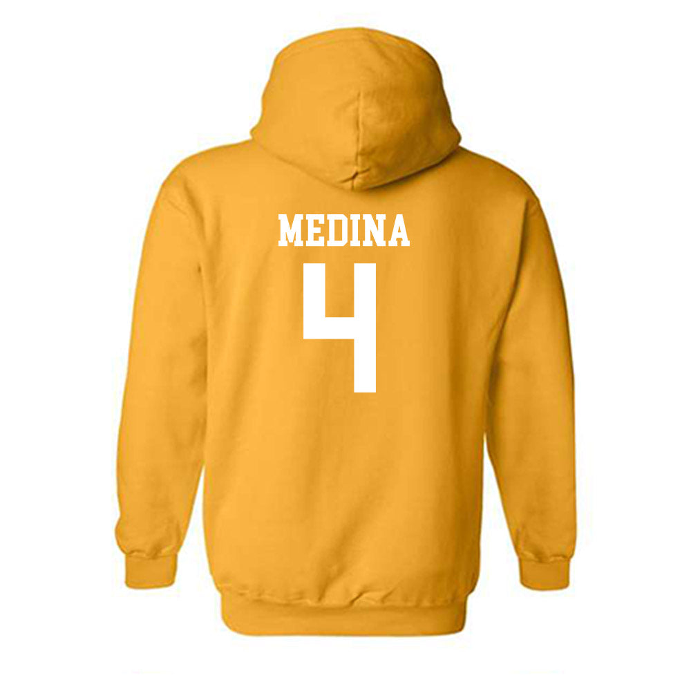 Towson - NCAA Softball : Amanda Medina - Classic Shersey Hooded Sweatshirt-1