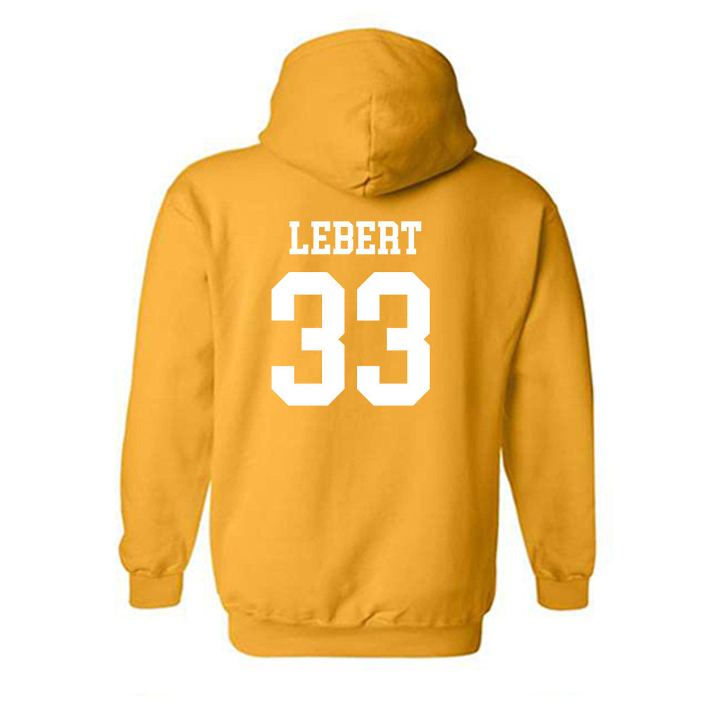 Towson - NCAA Softball : Hannah Lebert - Classic Shersey Hooded Sweatshirt-1