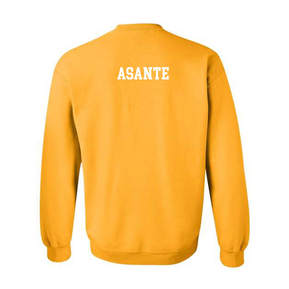 Towson - NCAA Women's Track & Field : Princess Asante - Classic Shersey Crewneck Sweatshirt-1