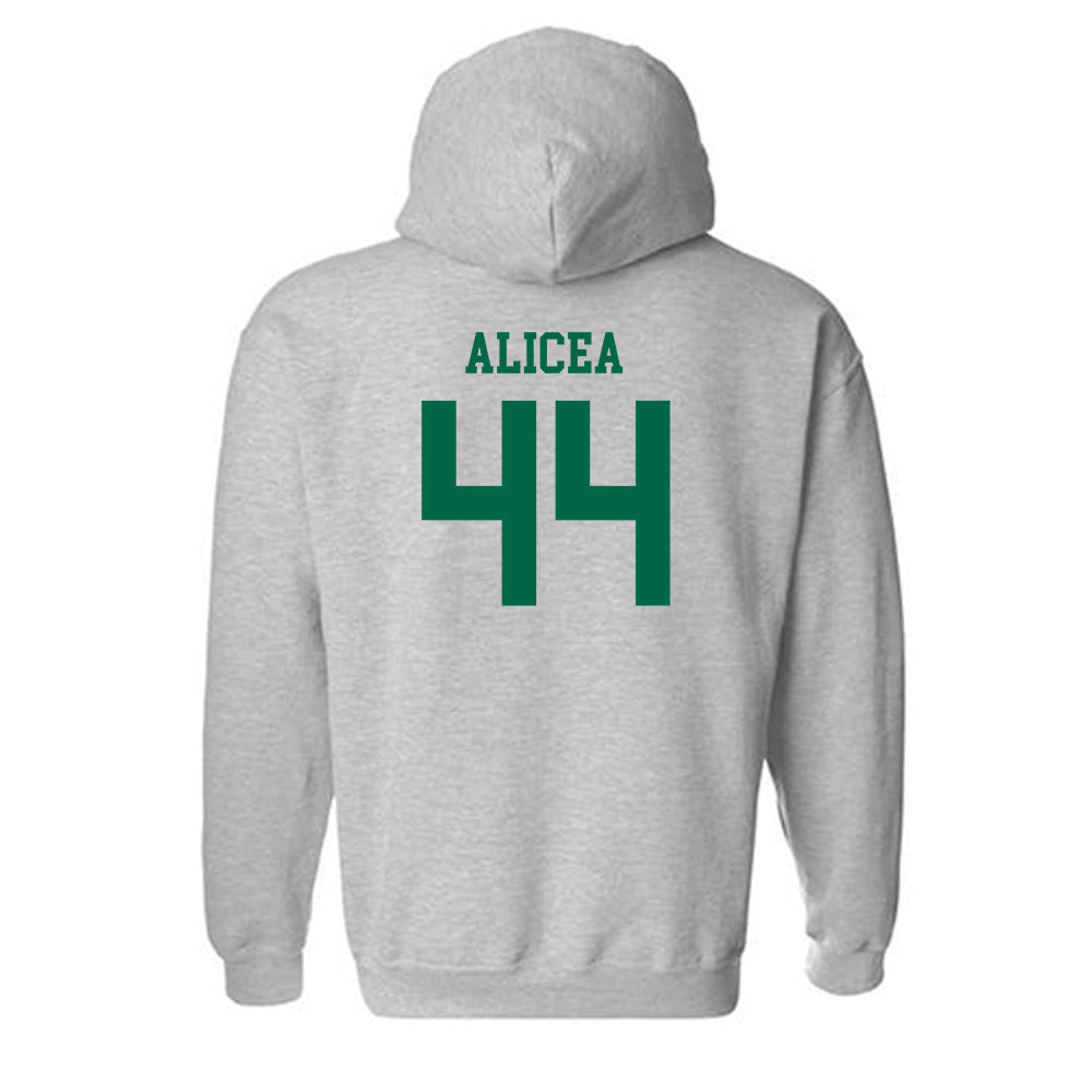 USF - NCAA Baseball : Edwin Alicea - Classic Fashion Shersey Hooded Sweatshirt-1