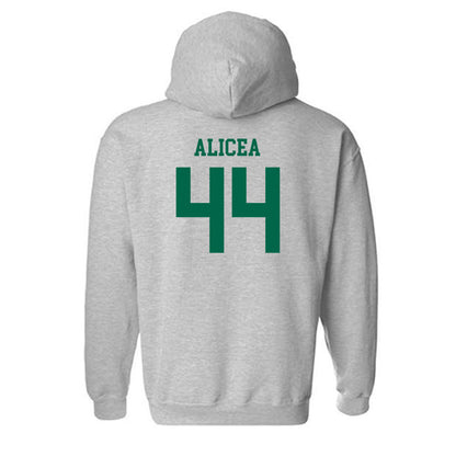 USF - NCAA Baseball : Edwin Alicea - Classic Fashion Shersey Hooded Sweatshirt-1