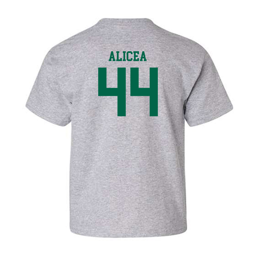 USF - NCAA Baseball : Edwin Alicea - Classic Fashion Shersey Youth T-Shirt-1