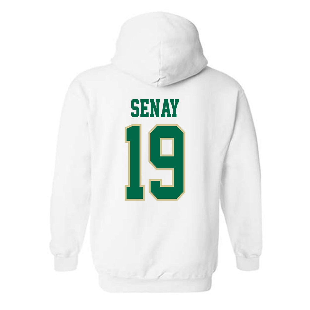 USF - NCAA Baseball : Michael Senay - Classic Fashion Shersey Hooded Sweatshirt-1