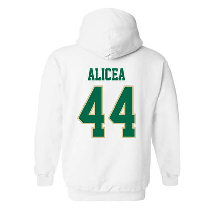 USF - NCAA Baseball : Edwin Alicea - Classic Fashion Shersey Hooded Sweatshirt-1