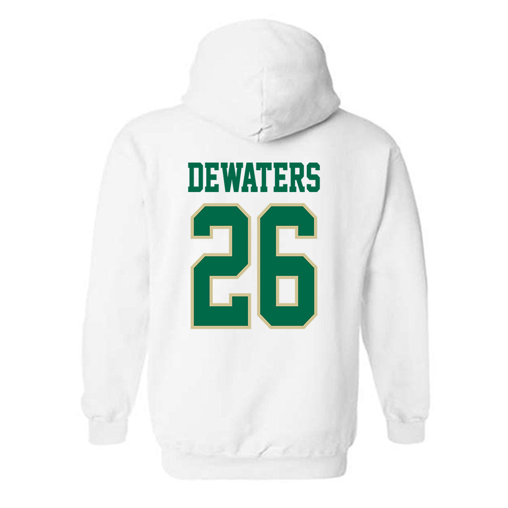 USF - NCAA Softball : Alice DeWaters - Classic Fashion Shersey Hooded Sweatshirt