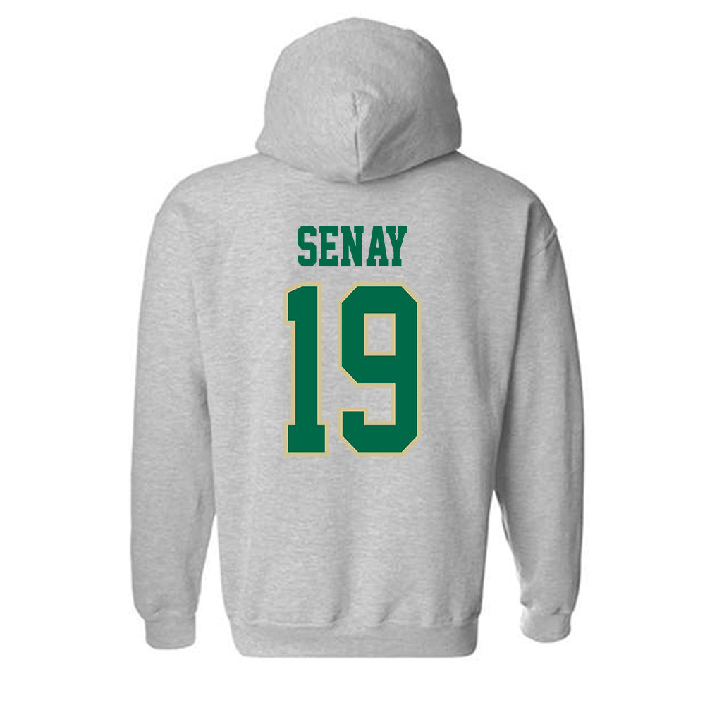 USF - NCAA Baseball : Michael Senay - Classic Fashion Shersey Hooded Sweatshirt-1