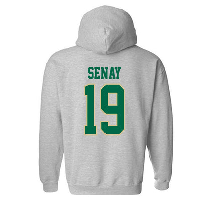 USF - NCAA Baseball : Michael Senay - Classic Fashion Shersey Hooded Sweatshirt-1