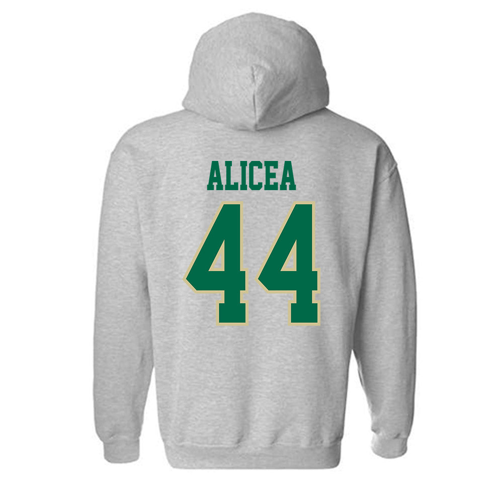USF - NCAA Baseball : Edwin Alicea - Classic Fashion Shersey Hooded Sweatshirt-1