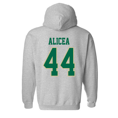 USF - NCAA Baseball : Edwin Alicea - Classic Fashion Shersey Hooded Sweatshirt-1