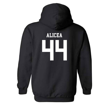 USF - NCAA Baseball : Edwin Alicea - Classic Fashion Shersey Hooded Sweatshirt-1