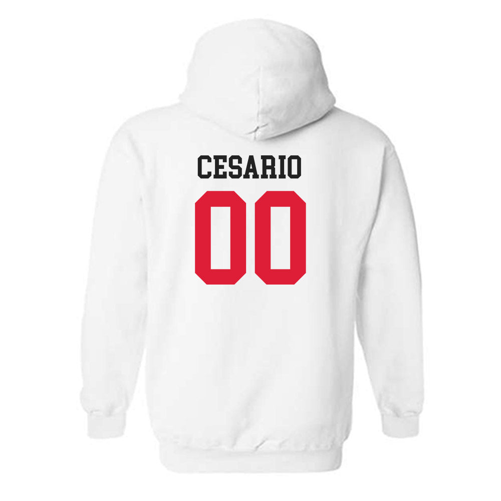 Lamar - NCAA Softball : Bri Cesario - Classic Shersey Hooded Sweatshirt-1
