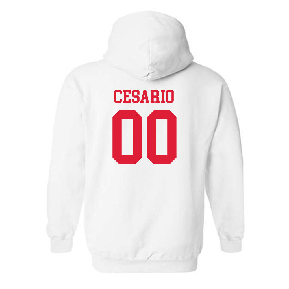 Lamar - NCAA Softball : Bri Cesario - Classic Shersey Hooded Sweatshirt-1