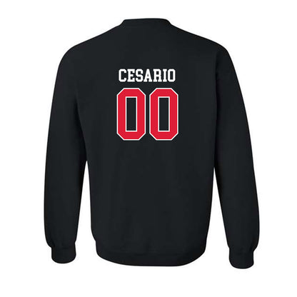 Lamar - NCAA Softball : Bri Cesario - Classic Shersey Crewneck Sweatshirt-1
