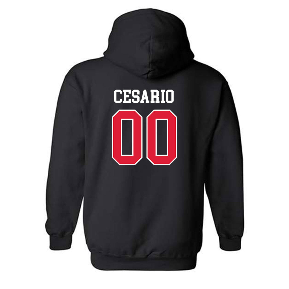 Lamar - NCAA Softball : Bri Cesario - Classic Shersey Hooded Sweatshirt-1