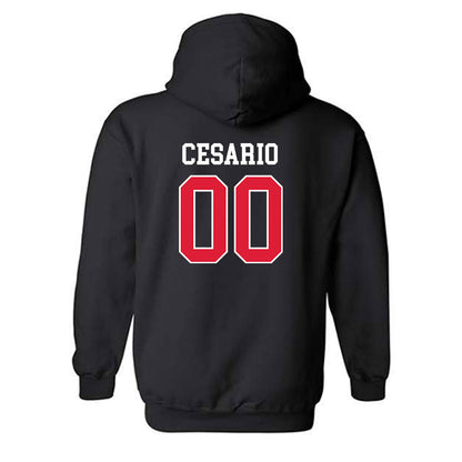 Lamar - NCAA Softball : Bri Cesario - Classic Shersey Hooded Sweatshirt-1