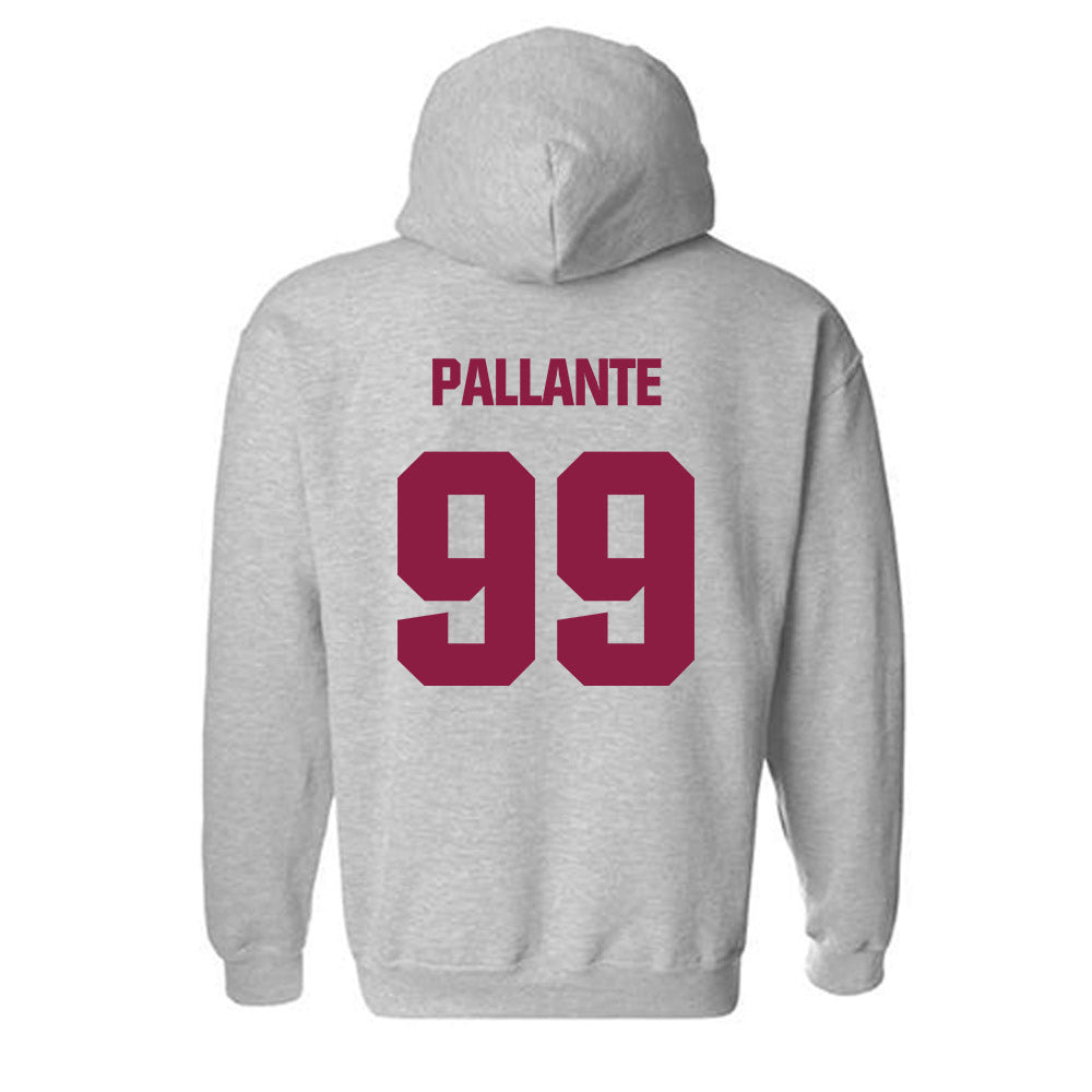 Virginia Tech - NCAA Softball : Lily Pallante - Classic Fashion Shersey Hooded Sweatshirt-1