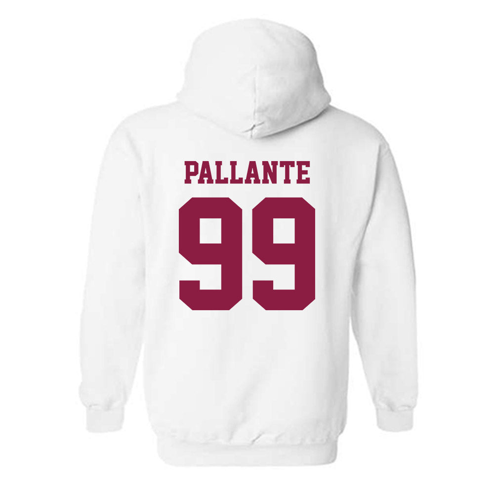 Virginia Tech - NCAA Softball : Lily Pallante - Classic Fashion Shersey Hooded Sweatshirt-1
