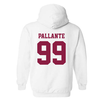 Virginia Tech - NCAA Softball : Lily Pallante - Classic Fashion Shersey Hooded Sweatshirt-1