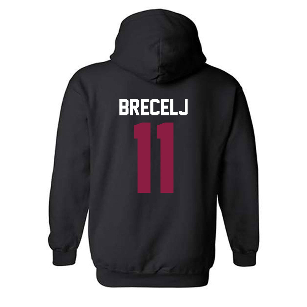 Virginia Tech - NCAA Women's Basketball : Spela Brecelj - Classic Fashion Shersey Hooded Sweatshirt-1