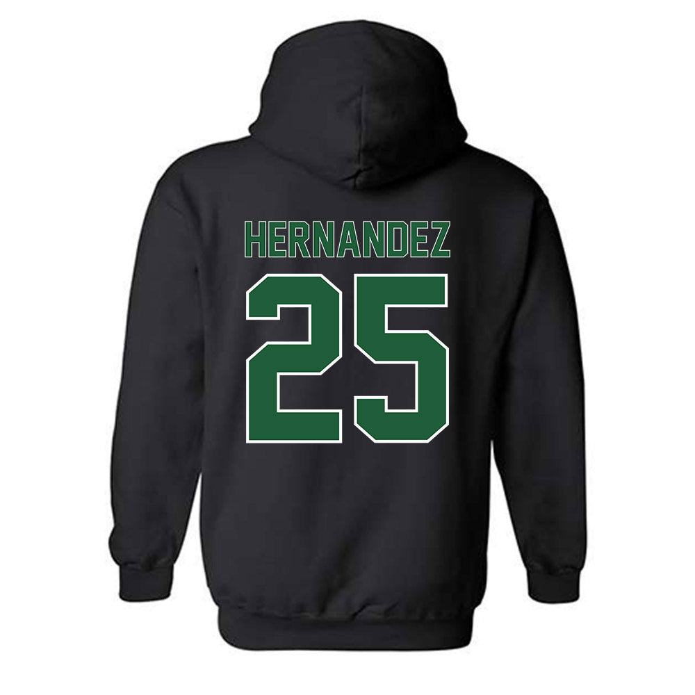 Utah Valley - NCAA Baseball : Ray Hernandez - Classic Fashion Shersey Hooded Sweatshirt-1