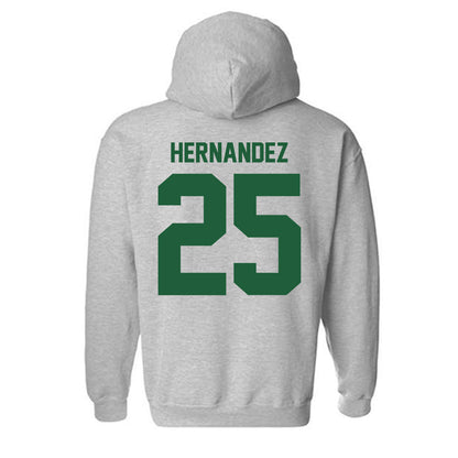 Utah Valley - NCAA Baseball : Ray Hernandez - Classic Fashion Shersey Hooded Sweatshirt-1