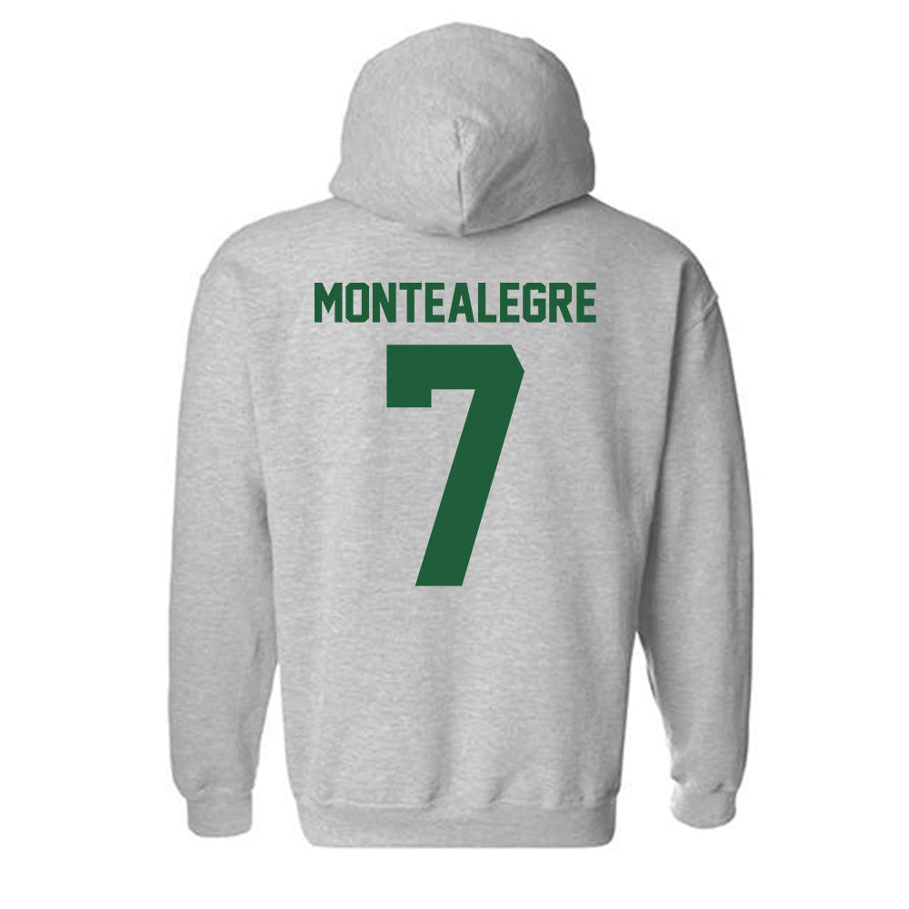 Utah Valley - NCAA Men's Soccer : Jose Luis Martin Montealegre - Classic Fashion Shersey Hooded Sweatshirt-1